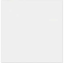 Wandfliese Rako Color One Weiß 15x15 cm glänzend
