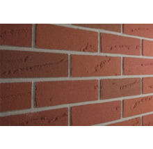 Wand mit roten Verblendsteinen und hellem Fugenmörtel
