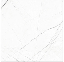 Steinzeug Wand- und Bodenfliese Davos white 60 x 60 x 0,9 cm glänzend