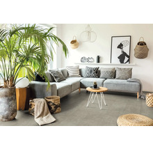 Wohnzimmer mit grauer Eckcouch, Zierkissen, Zimmerpflanze und dekorativen Elementen