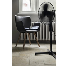 Zimmeransicht mit einem schwarzen Stuhl, einem Ventilator und einem Heizkörper