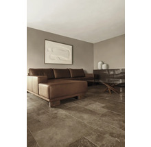 Wohnzimmer mit Ledersofa und Couchtisch