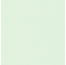 Zement Wand- und Bodenfliese Uni 6.1 mint green 20x20x1,6 cm