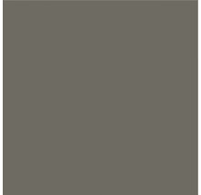 Zement Wand- und Bodenfliese Uni 9.3 dark chocolate 20x20x1,6 cm