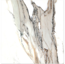 Detailaufnahme einer Fliese mit Marmorstruktur