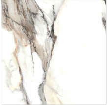 Marmorfliese mit Maserung