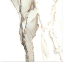 Nahaufnahme einer Marmorfliese mit Maserung