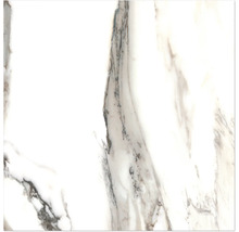 Marmorstrukturierte Fliese