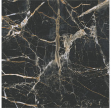 Produktbild: Muster zu Fliese Marquina Gold poliert 300x250x8