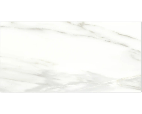 MIRAVA Feinsteinzeug Wand- und Bodenfliese LUCCA Bianco gold matt 30 x 60 x 0,9 cm rektifiziert