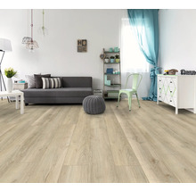 Heller Wohnraum mit Laminatboden, Sofa und Dekoration