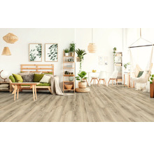 Helles Wohnzimmer mit Holzboden, Sofa, Tisch und Hängesessel