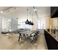 Heller Wohnraum mit Essbereich, Küche, Wohnzimmer und Schlafbereich.