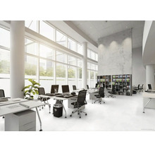 Helles Büro mit Schreibtischen, Bürostühlen und Regalen