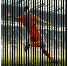 Fußballspieler beim Schuss auf das Tor hinter senkrechten Streben