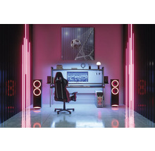 Ein Gamingzimmer mit Schreibtisch, Stuhl, Lautsprechern und Neonbeleuchtung.