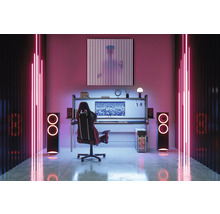 Gaming Zimmer mit Schreibtisch, Gaming Stuhl, Lautsprechern und Neonbeleuchtung