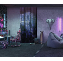 Einrichtung eines Zimmers mit Gaming-PC, Gaming-Stuhl, Sitzsack, Skateboard und Wanddekoration