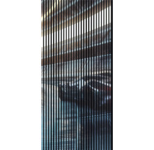 Lamellenstruktur mit unscharfem Hintergrund