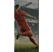 Dekorativer Sichtschutz mit Fußballmotiv für den Garten