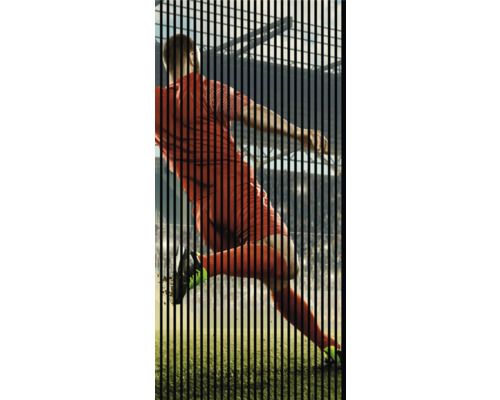 Dekorativer Sichtschutz mit Fußballmotiv für den Garten