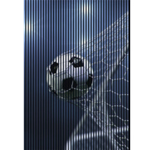 Produktbild: Akustikpaneel digital bedruckt Soccer 2 19x1693x2400 mm Set = 3 Einzelpaneele