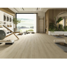 Heller Fitnessraum mit Trainingsbank, Sprossenwand und großen Fenstern.