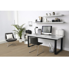 Ein helles Arbeitszimmer mit Schreibtisch, Stuhl, Regalen und Zimmerpflanze