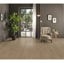 Wohnzimmer mit Holzboden, Sessel und Zimmerpflanze