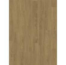 Produktbild: Handmuster zu Laminat 8.0 Eiche Mont Blanc braun