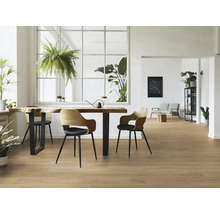 Heller Raum mit Holzboden, Esstisch, Stühlen und Zimmerpflanzen