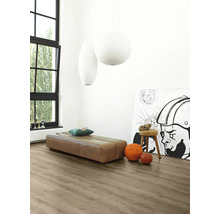 Heller Raum mit Sitzbank, Dekoration, Lampe und Laminatboden.