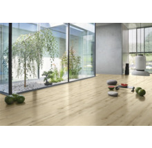 Heller Raum mit Laminatboden, Innengarten mit Bäumen und Pflanzen hinter Glas