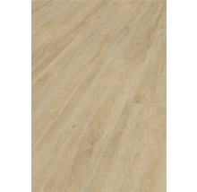 Produktbild: HANDMUSTER zu Laminat 8.0 Grand Eiche hell