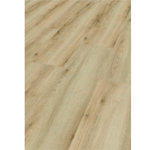 Produktbild: HANDMUSTER zu Laminat 8.0 Edersee Eiche natur
