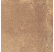 Produktbild: Wand- und Bodenfliese Heartland terracotta 30x30 cm