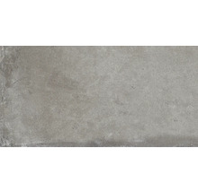 Produktbild: Wand- und Bodenfliese Heartland clay 30x60,3 cm