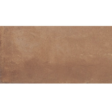 Produktbild: Wand- und Bodenfliese Heartland terracotta 30x60,3 cm