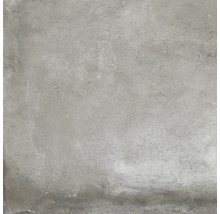 Graue Feinsteinzeugfliese