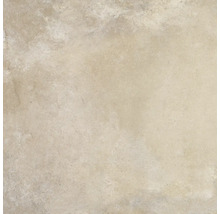 Produktbild: Wand- und Bodenfliese Heartland sand 60,3x60,3 cm