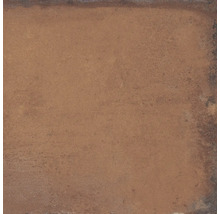 Produktbild: Wand- und Bodenfliese Heartland terracotta 60,3x60,3 cm