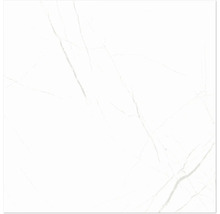 Steinzeug Wand- und Bodenfliese Davos white 60 x 60 x 0,9 cm glänzend