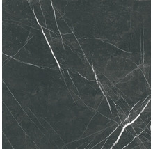 Steinzeug Wand- und Bodenfliese Davos black 60 x 60 x 0,9 cm glänzend