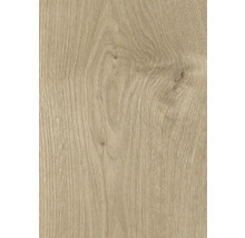 Holzstruktur Nahaufnahme