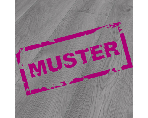 Handmuster Laminat 10.0 Makro Eiche hellgrau Handmuster Laminat 10.0 Makro Eiche hellgrau