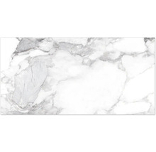 Produktbild: Wand- und Bodenfliese Haute white 60x120cm shaped