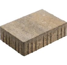 Einzelner Pflasterstein