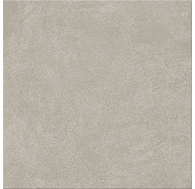 Produktbild: Wand- und Bodenfliese Ares light grey 29,8x29,8 cm matt