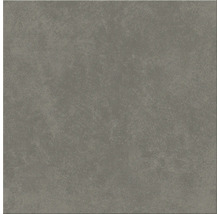 Produktbild: Wand- und Bodenfliese Ares grey 29,8x29,8 cm matt