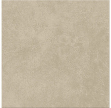 Produktbild: Wand- und Bodenfliese Ares mocca 29,8x29,8 cm matt